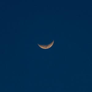 国产无套av在线
